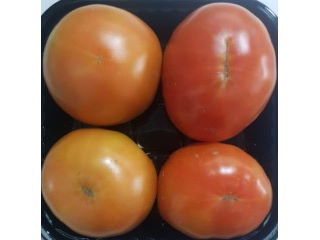 Tomato /kg
